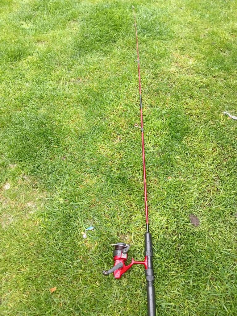 Complete vishengel met molen en kunstaas, Ophalen of Verzenden, Zo goed als nieuw, Complete hengel