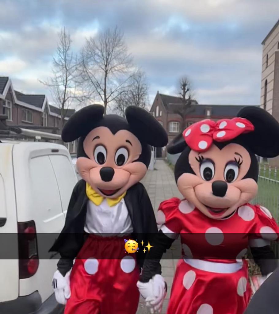 MICKEY EN/OF MINNIE MOUSE MASCOTTE VERHUUR, Ophalen of Verzenden, Nieuw, Verjaardag