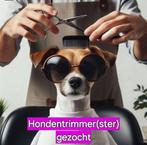 Honden trimster, Dieren en Toebehoren, Honden-accessoires, Ophalen of Verzenden