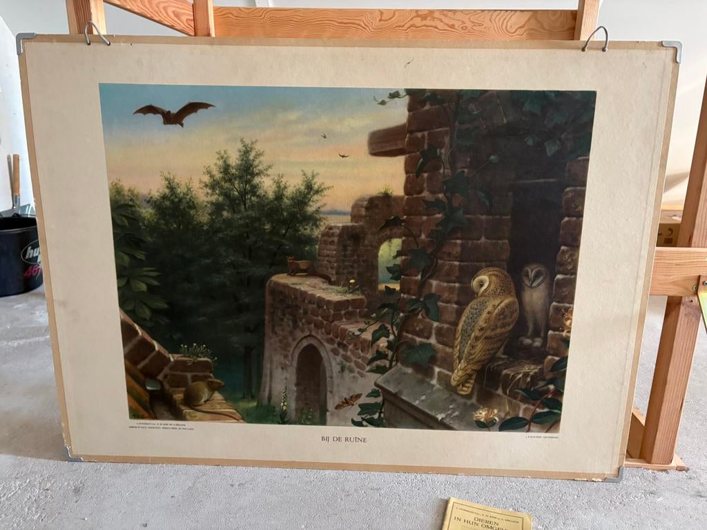 Schitterende schoolplaat “bij de ruïne “ incl boekje, Ophalen of Verzenden, Natuur en Biologie
