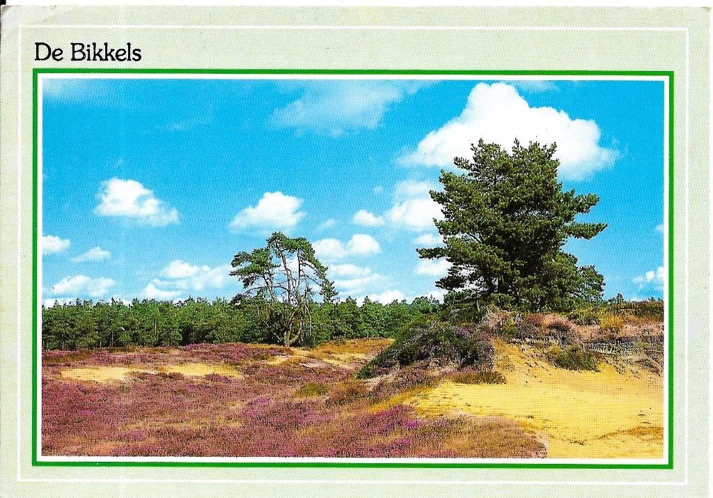 Ansichtkaart	Vlierden	De Bikkels		Heide, Verzenden, 1980 tot heden, Gelopen, Overijssel