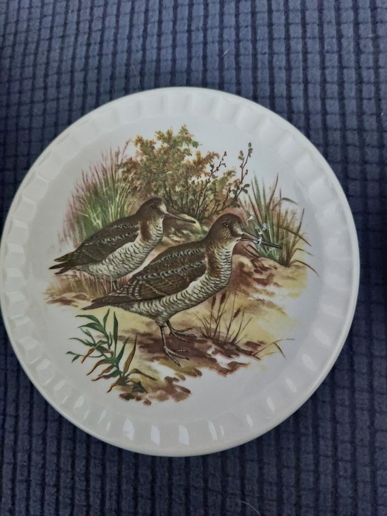 2 Vintage Falcon Ware England bordjes met vogels, Ophalen of Verzenden
