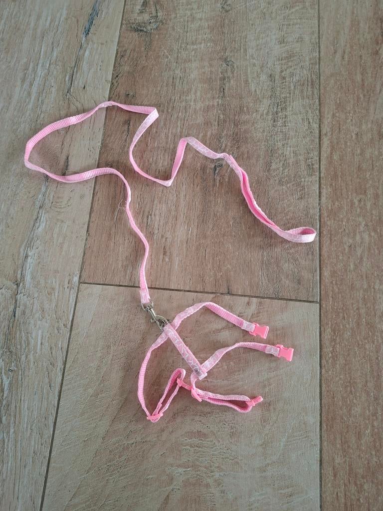 Kitten tuigje, Dieren en Toebehoren, Ophalen