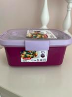 Curver Smart To Go Lunch Kit 1.2L - Nieuw, Ophalen of Verzenden, Nieuw