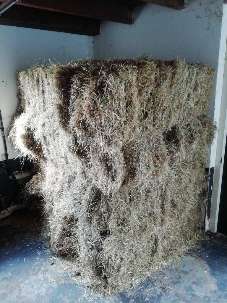 Hooi, Dieren en Toebehoren, Dierenvoeding, Ophalen, Vee