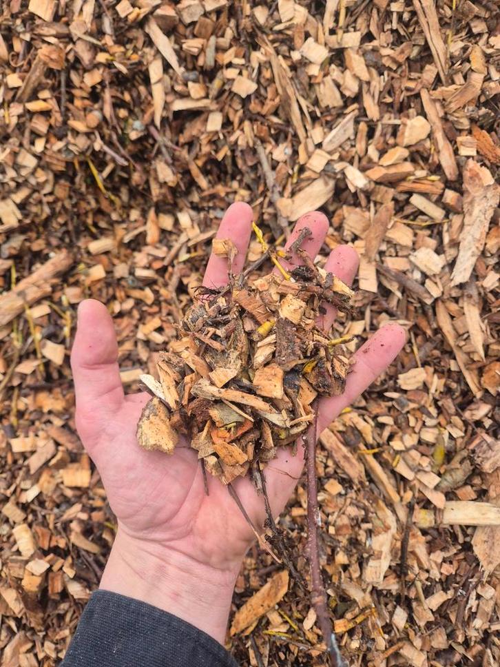 Houtsnippers // mulch - per kuub, Tuin en Terras, Regentonnen, Nieuw, Hout, 150 liter of meer, Ophalen of Verzenden