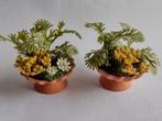 tc plantenbak op voet met planten / miniatuur, Ophalen, Nieuw, Decoratie