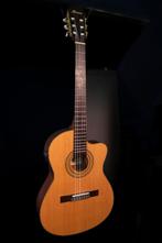 Ibanez spaanse gitaar, Ophalen, Gebruikt, Klassieke of Spaanse gitaar, Met (piezo-)element