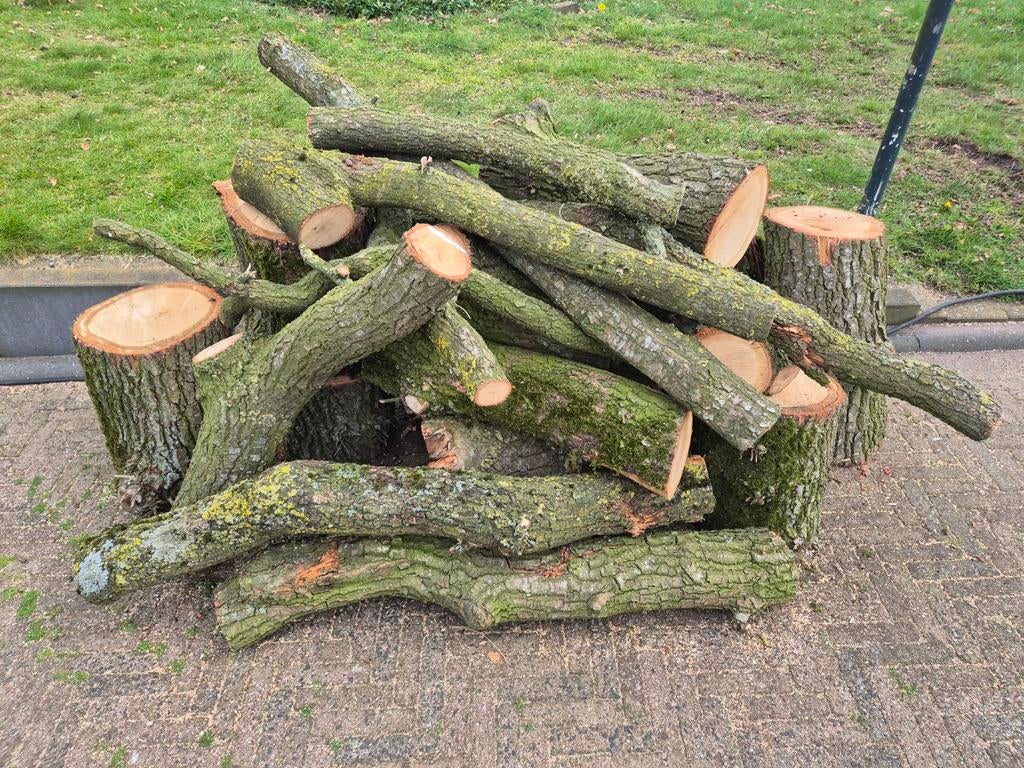 Partijen eikenhout, Tuin en Terras, Haardhout, 3 tot 6 m³, Ophalen, Eikenhout, Blokken