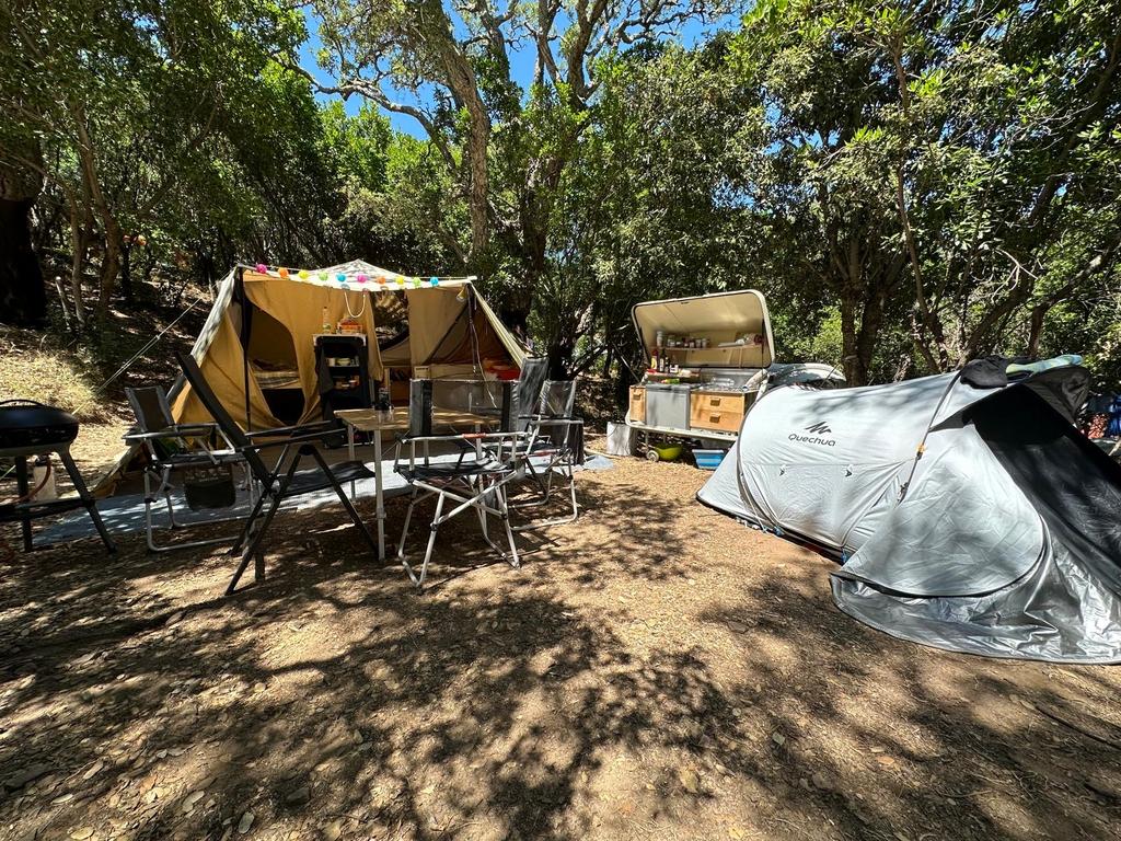 Holtkamper Spacer Expedition met White Box Disselkeuken, Ophalen of Verzenden, Aanwezig, Tot en met 6, Holtkamper