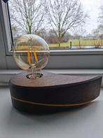 2 lampen edison industrieel LED, Ophalen, Zo goed als nieuw