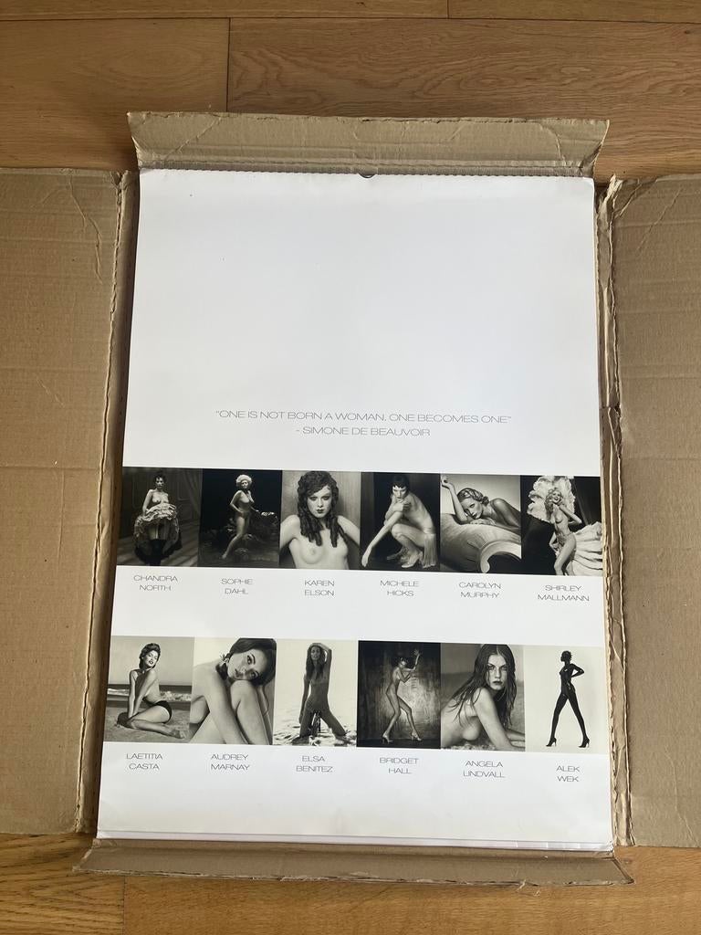 Pirelli Kalender 1999 Woman Through The Decades Boxed, Ophalen of Verzenden, Maandkalender, Zo goed als nieuw