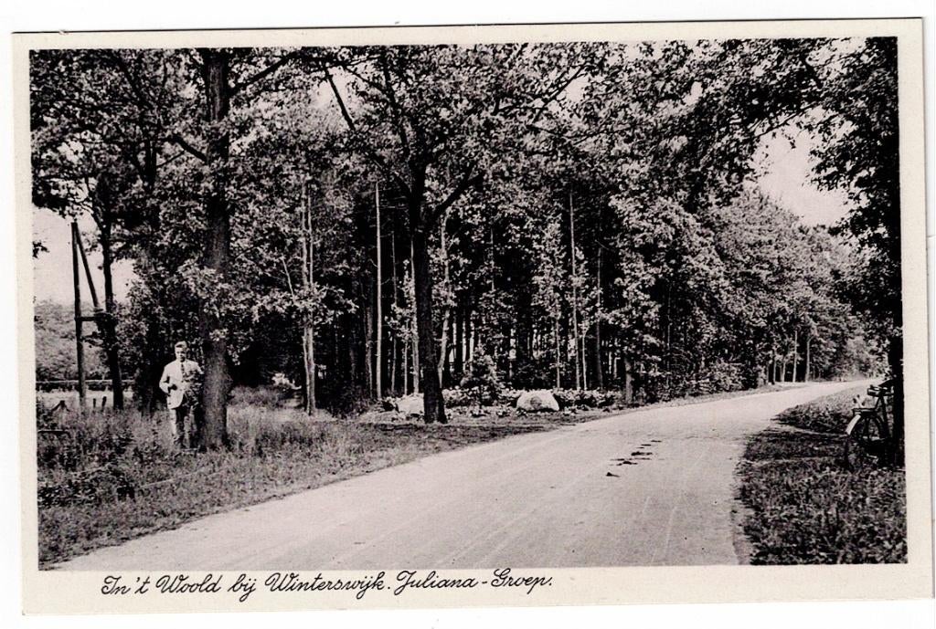 In 't Woold bij Winterswijk jaren '20. De Juliana - Groep., Ophalen of Verzenden, 1920 tot 1940, Ongelopen, Gelderland