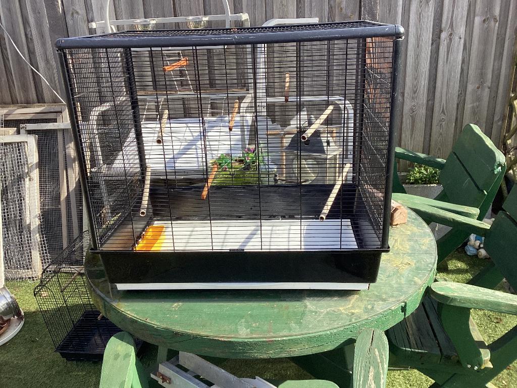 Vogelkooien, Ophalen, Gebruikt, Metaal, Vogelkooi
