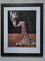 Ingelijste poster baby giraf, Ophalen, Rechthoekig Staand, Met lijst, Zo goed als nieuw