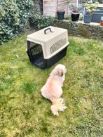 Honden bench zo goed als nieuw, Ophalen, Zo goed als nieuw