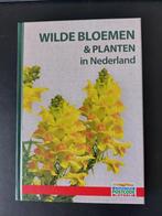 Wilde Bloemen & Planten In Nederland, Ophalen of Verzenden, Nieuw, Bloemen, Planten en Bomen