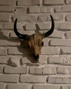 Fake Skull Muurdecoratie, Ophalen, Zo goed als nieuw