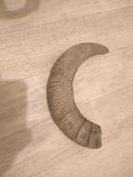 Hoorn steenbok, Ophalen of Verzenden