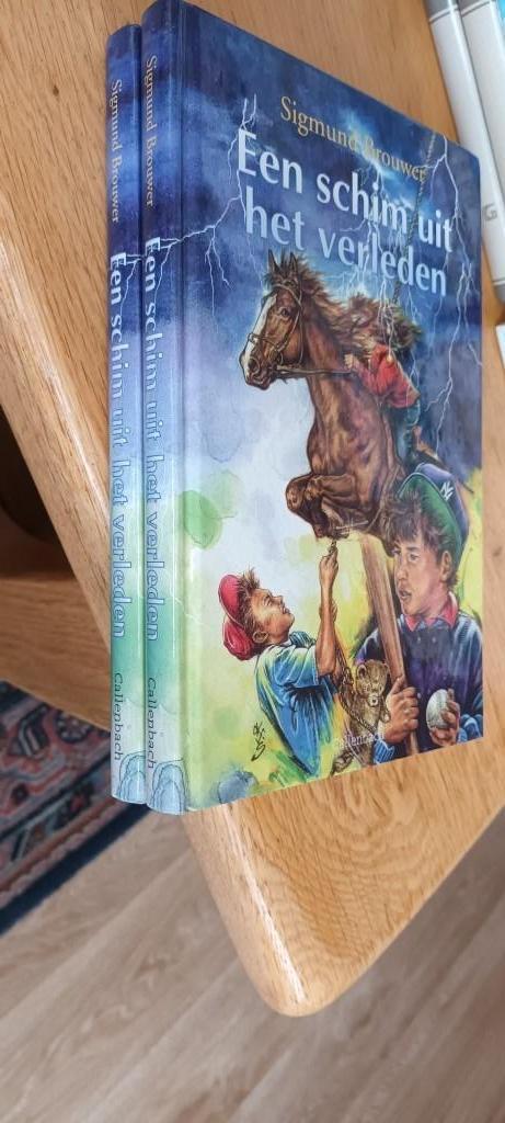 Brouwer, Sigmund-Een schim uit het verleden, Boeken, Kinderboeken | Jeugd | 10 tot 12 jaar, Gelezen, Fictie, Ophalen of Verzenden