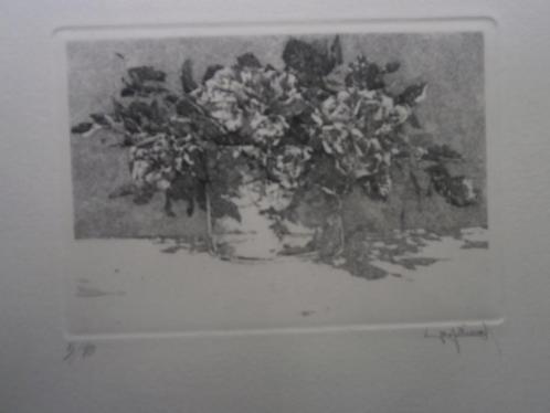 Mooie Aquatint ets, Bloemen/Planten in een pot Gesigneerd, Antiek en Kunst, Kunst | Etsen en Gravures, Ophalen