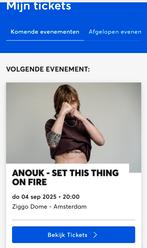 Twee kaartjes Anouk, samen voor 115 euro!, Twee personen, September