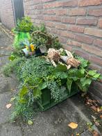 Nep planten decoratie, Huis en Inrichting, Woonaccessoires | Kunstplanten en Kunstbloemen, Ophalen of Verzenden