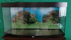 Aquarium Juwel 260 L +JBL Cristalprofi filterpomp + extra's, Ophalen, Gebruikt, Leeg aquarium