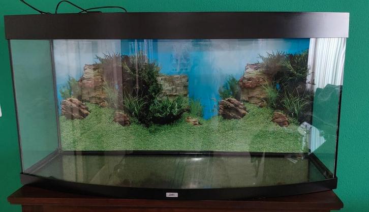 Aquarium Juwel 260 L +JBL Cristalprofi filterpomp + extra's, Dieren en Toebehoren, Vissen | Aquaria en Toebehoren, Gebruikt, Leeg aquarium