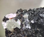 Parahopeiet (tl), Scholziet - Kabwe Mine, Zambia, Ophalen of Verzenden, Mineraal
