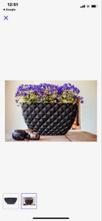 Capi Europe Ovaal Bloempot Zwart 57x34cm, Kunststof, Minder dan 60 cm, Ophalen of Verzenden, Zo goed als nieuw