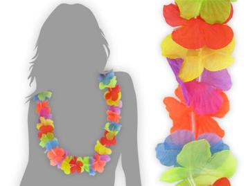 Hawaiikransen/slingers beschikbaar voor biedingen