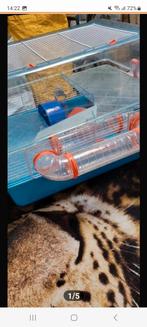 Hamsterkooi, Kooi, Minder dan 75 cm, Zo goed als nieuw, Ophalen