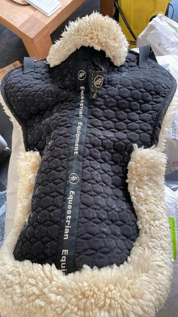 Bontje te koop beschikbaar voor biedingen