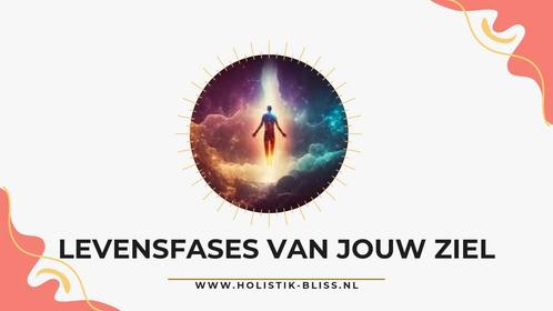 Biotensor vragen/blokkadelijsten NEI-therapie, Boeken, Studieboeken en Cursussen, Alpha, Verzenden