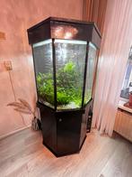 Te Koop Complete Set Biotoop Aquarium, Dieren en Toebehoren, Vissen | Aquaria en Toebehoren, Zo goed als nieuw, Ophalen, Gevuld zoetwateraquarium