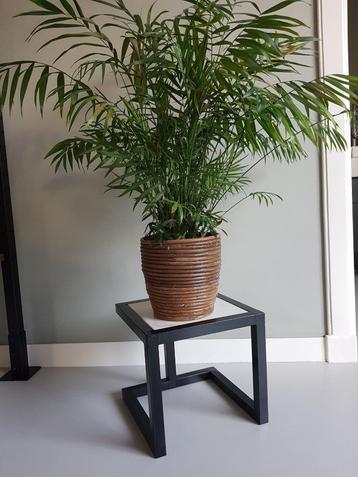 Metalen Plantentafeltje met Marmer blad beschikbaar voor biedingen