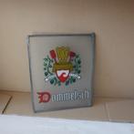 Dommelsch Bier raamhanger glas in lood 20,5 x 25,6 cm, Verzamelen, Ophalen, Gebruikt, Reclamebord, Plaat of Schild, Dommelsch