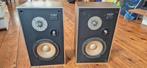 technics SB-201, Audio, Tv en Foto, Luidsprekers, Gebruikt, Minder dan 60 watt, Front, Rear of Stereo speakers, Ophalen