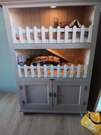 Caviaflat met 2 zeugjes (zusjes) gladhaar, Vrouwelijk, Cavia, Na 1 juli 2024, Tam