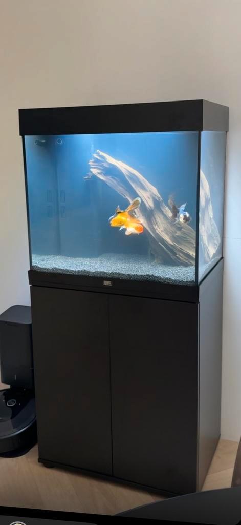 Juwel Lido 120, Dieren en Toebehoren, Vissen | Aquaria en Toebehoren, Zo goed als nieuw, Leeg aquarium, Ophalen