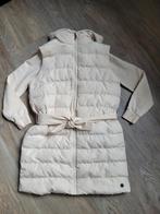 Levv set hoodie en bodywarmer, Kinderen en Baby's, Kinderkleding | Maat 164, Nieuw, Meisje, Ophalen of Verzenden