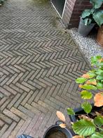 Waaltjes gratis, Tuin en Terras, Tegels en Klinkers, Ophalen, Gebruikt, Klinkers, 10 m² of meer