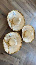 3 grote sombrero’s, Kleding | Dames, Carnavalskleding en Feestkleding, Ophalen of Verzenden, Nieuw, Carnaval, Accessoires