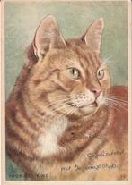 Ansichtkaart Rode Kater 1975, Verzamelen, Verzenden, 1960 tot 1980, Gelopen, Hond of Kat