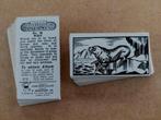 Interesting Animals complete set 50 dieren trade cards 1953, Ophalen, Gebruikt