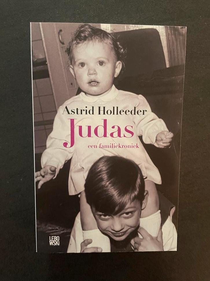 Astrid Holleeder - Judas, Boeken, Detectives, Zo goed als nieuw, Ophalen of Verzenden