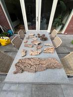 Prachtig krukschors voor terreroum, paludarium of aquarium, Dieren en Toebehoren, Reptielen en Amfibieën | Toebehoren, Ophalen