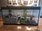 Aquarium met accessoires, Dieren en Toebehoren, Vissen | Aquaria en Toebehoren, Ophalen of Verzenden, Zo goed als nieuw, Leeg aquarium