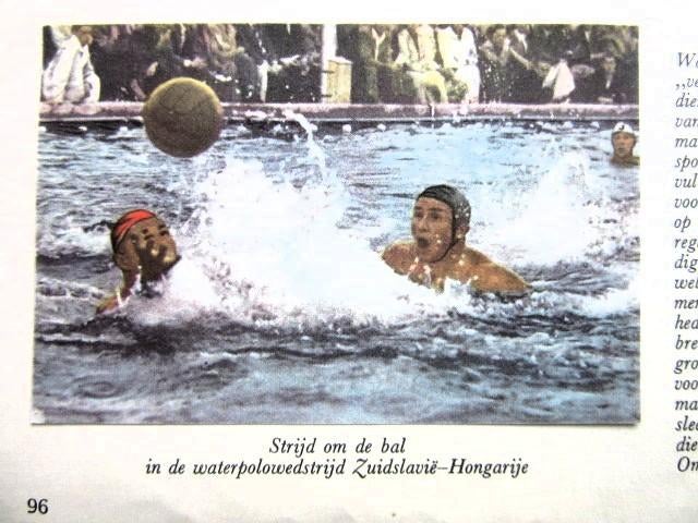 Knipsels en artikelen 1954 over waterpolo, Ophalen of Verzenden, 1940 tot 1960, Knipsel(s)